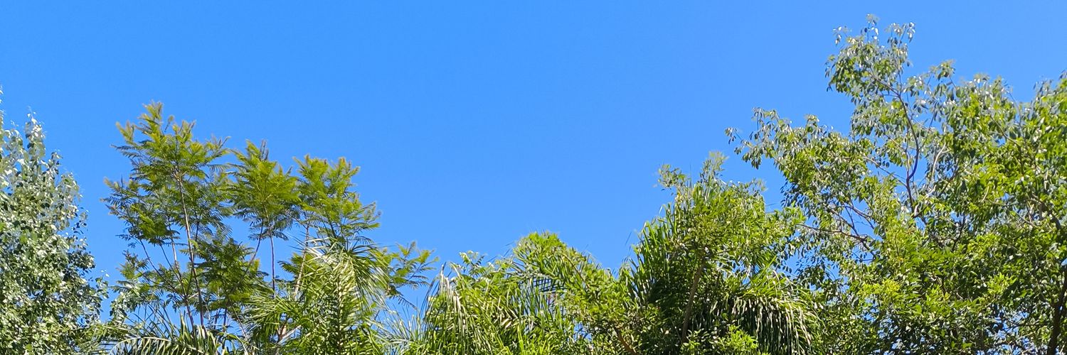 gabrielarojas_'s profile banner image