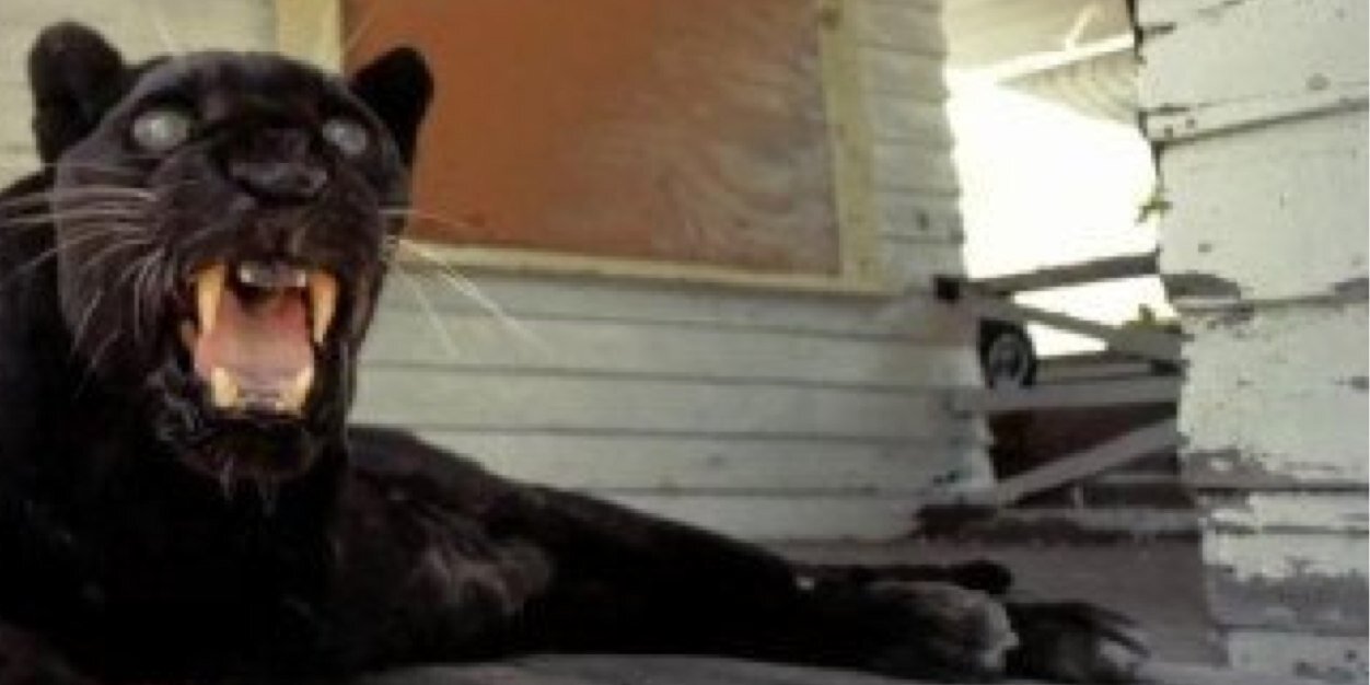 Leax06's profile banner image