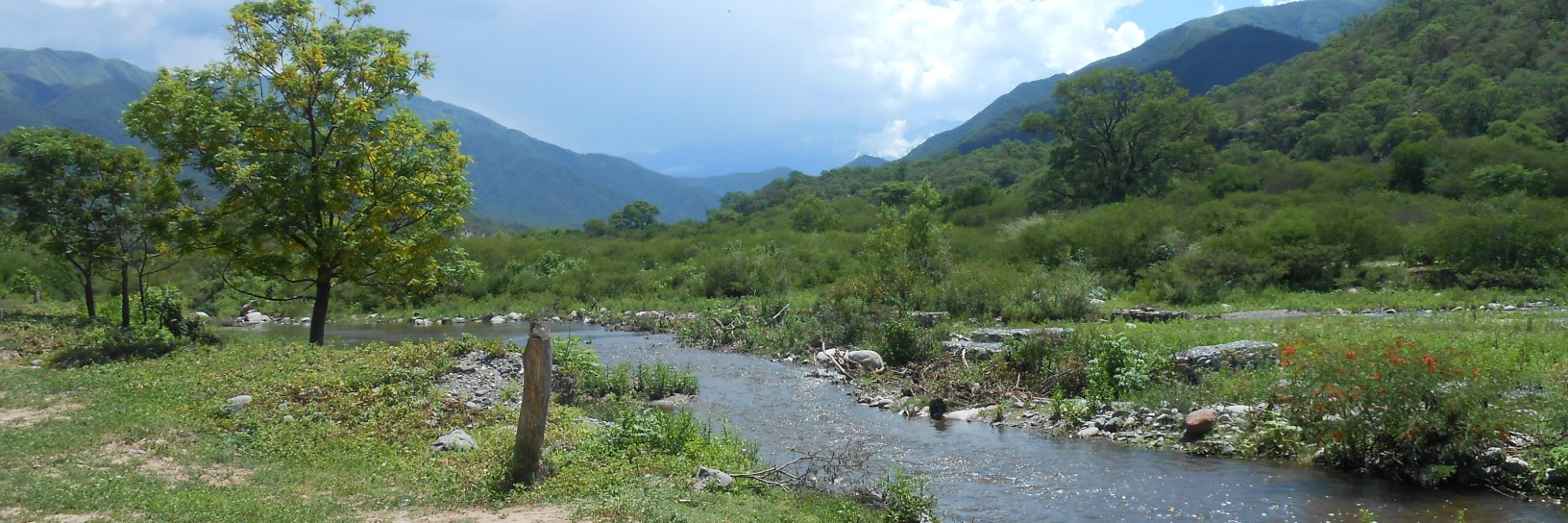 Horaciolabrador's profile banner image