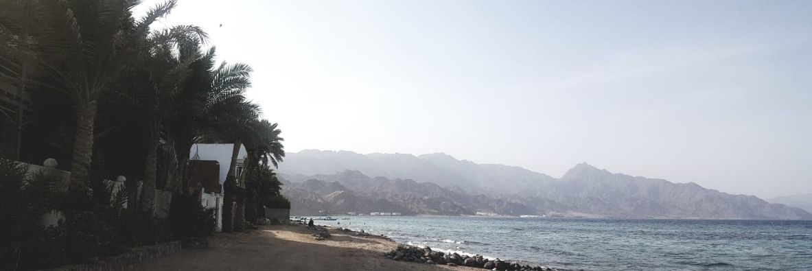 ahmedyehya85's profile banner image