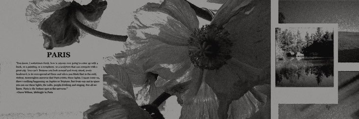 𝐚𝐥𝐦𝐞𝐧𝐝𝐫𝐚. banner