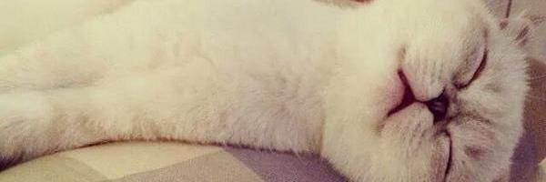 AbruuuLopez's profile banner image