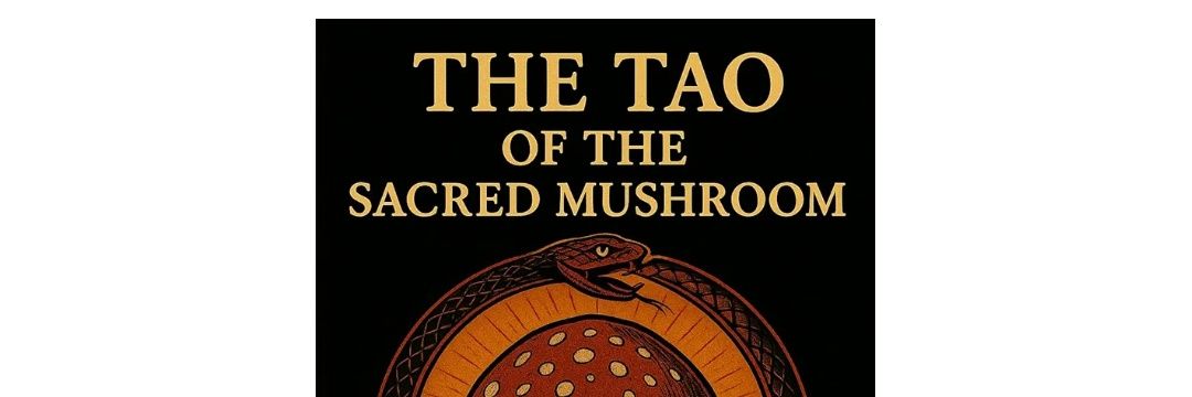 Sir Hung-Solo banner