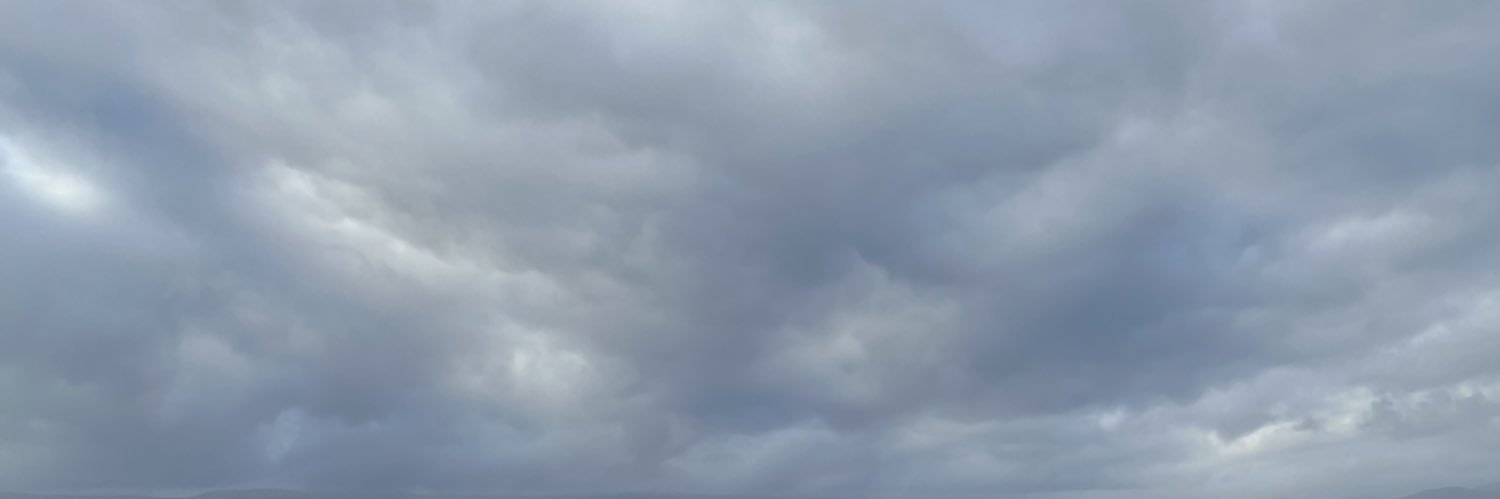 Anxeles_bioxeo's profile banner image