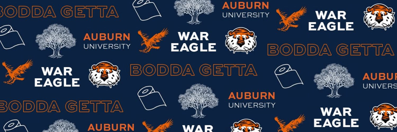 bverar's profile banner image