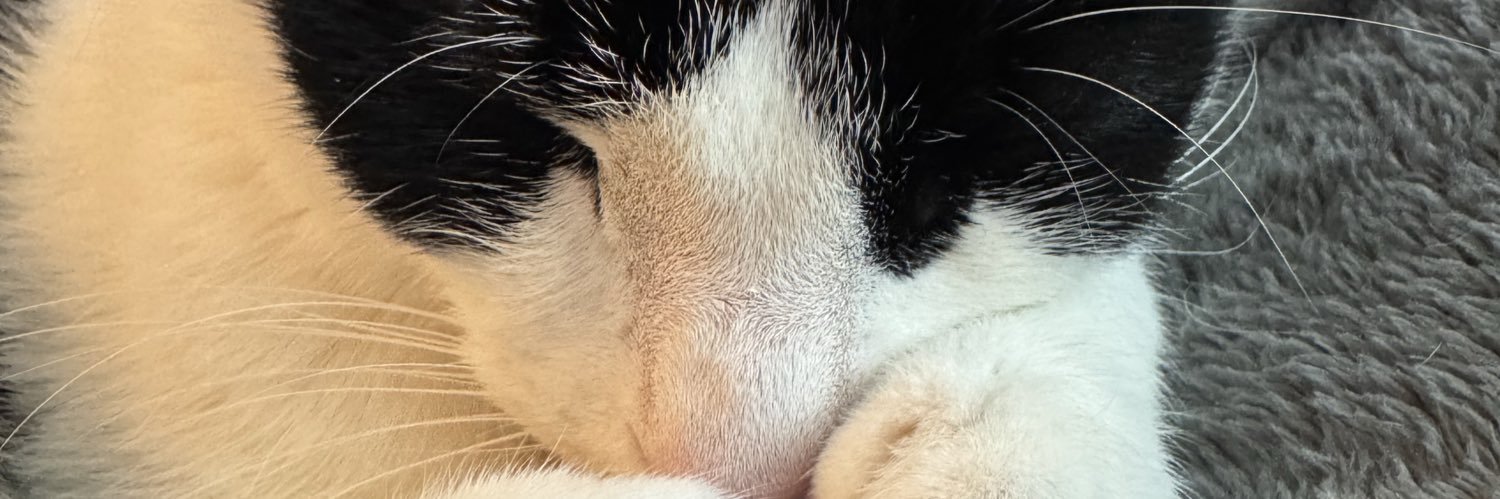 carla enste banner