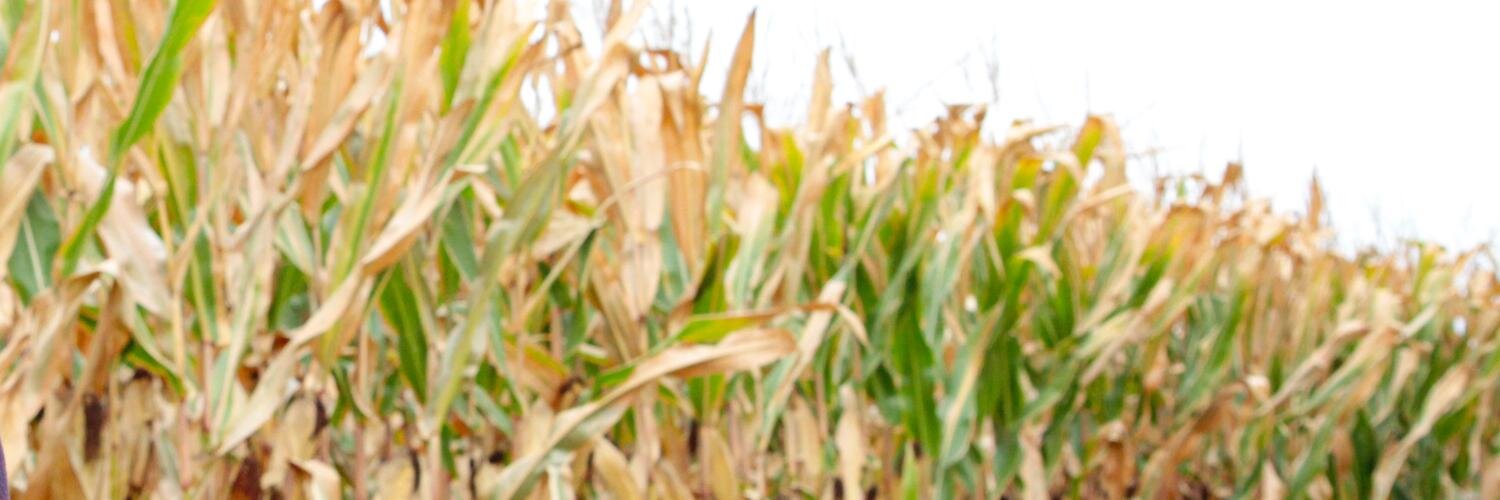kbarrie's profile banner image