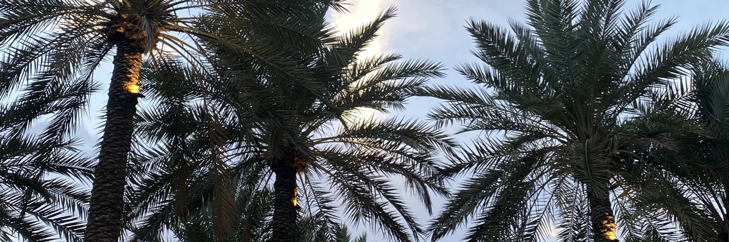 شمس banner