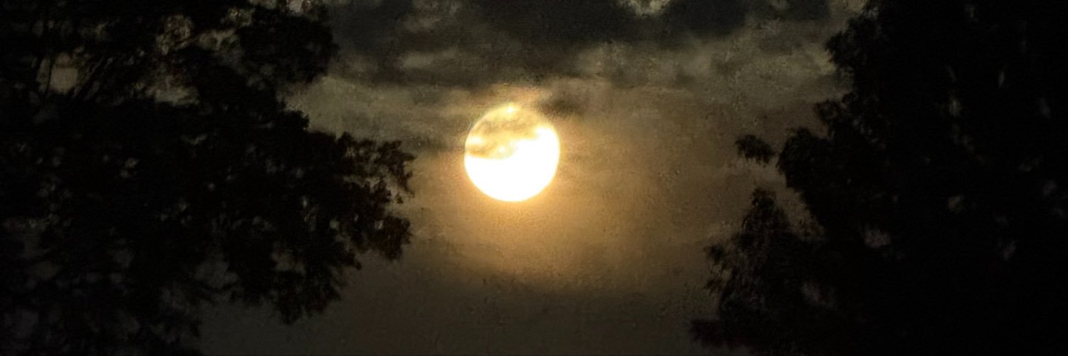 Alantis_Wiles's profile banner image