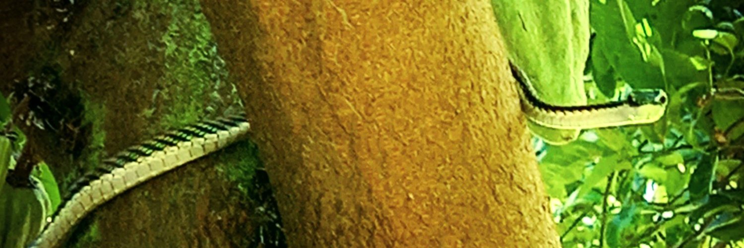 ChapBZE's profile banner image