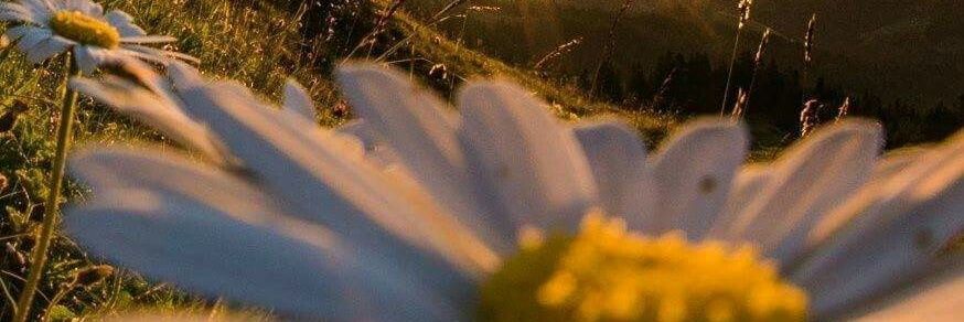 _LDuarteee's profile banner image