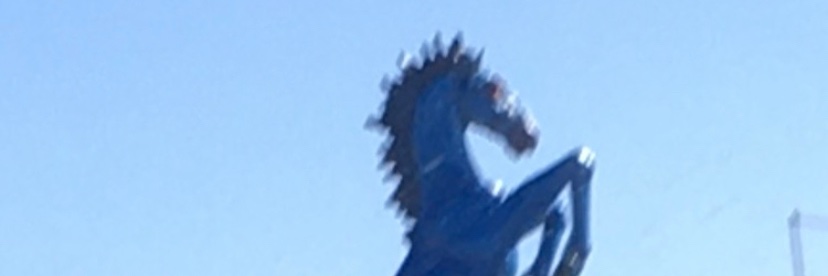 J's banner