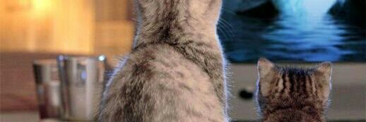 Jeffrey Martin banner