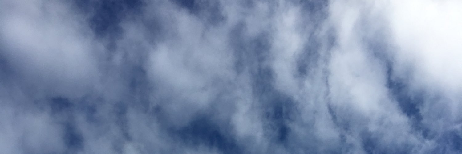 Martin Scott Dawson banner