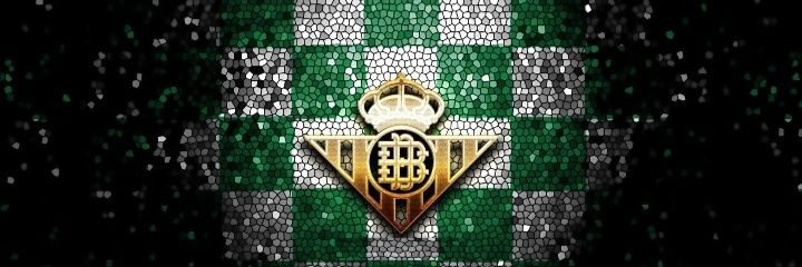 LocosPorBetis's profile banner image