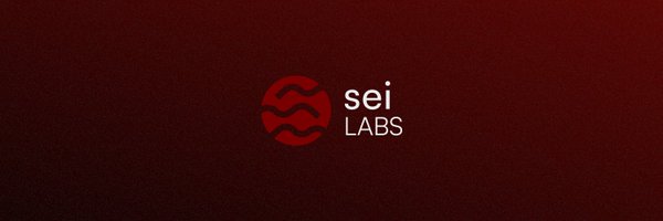 Sei_Labs Profile Banner