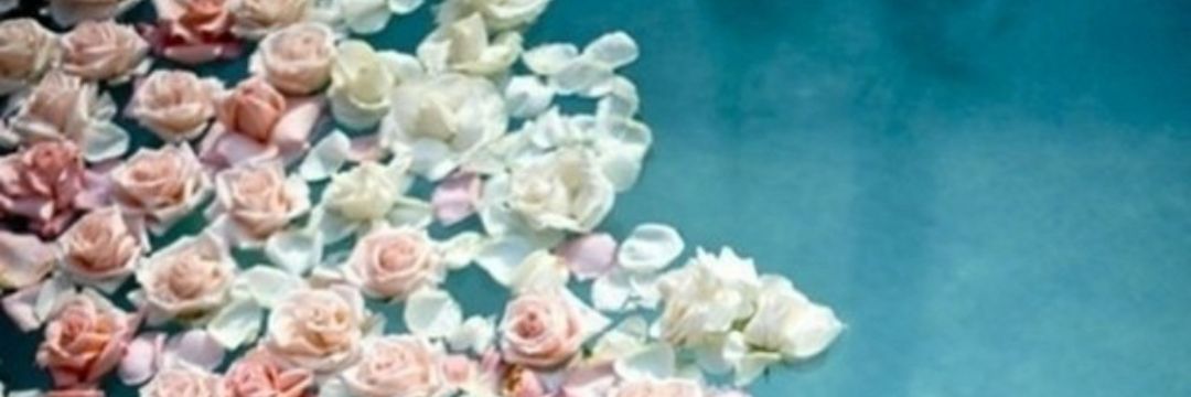 Jay_cee_vee94's profile banner image