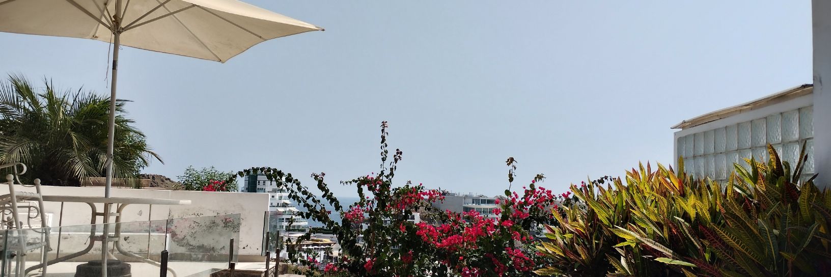 Carlos Daniel banner