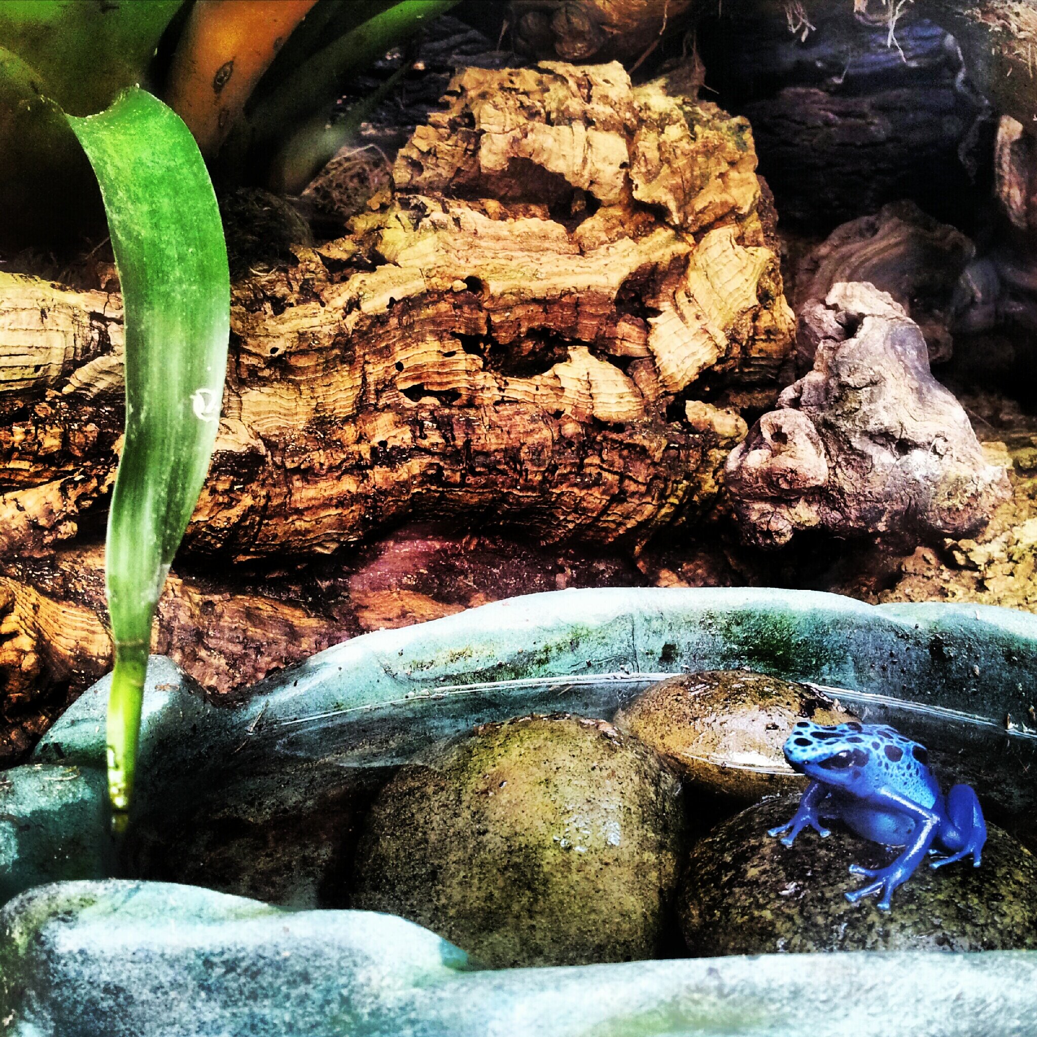 mulroy78's profile banner image
