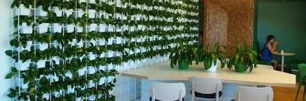 GreenBayPlants's profile banner image