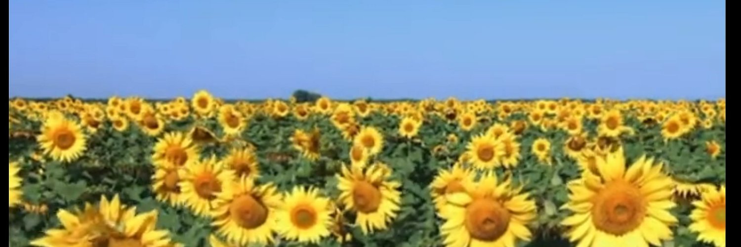 remintola's profile banner image