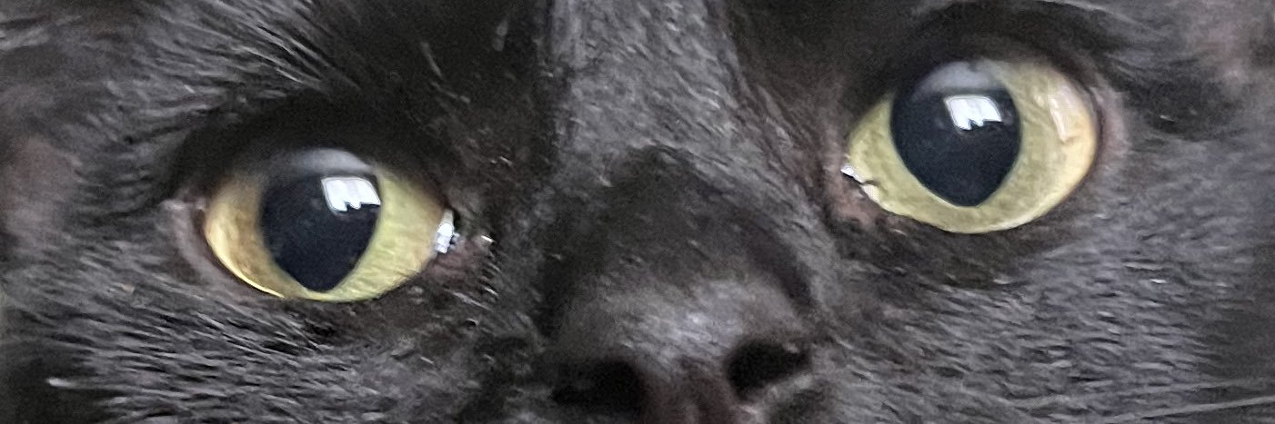 thatsolanie's profile banner image