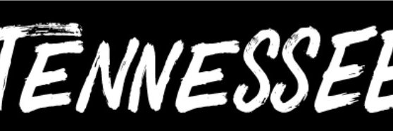 DebraSmithNash's profile banner image