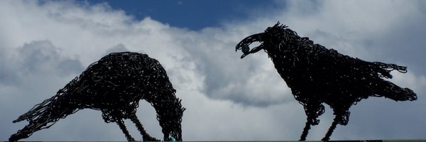 EmilyMedvec Profile Banner