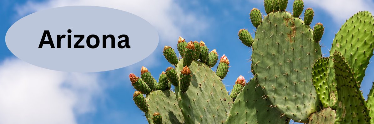 Arizona Guy One banner