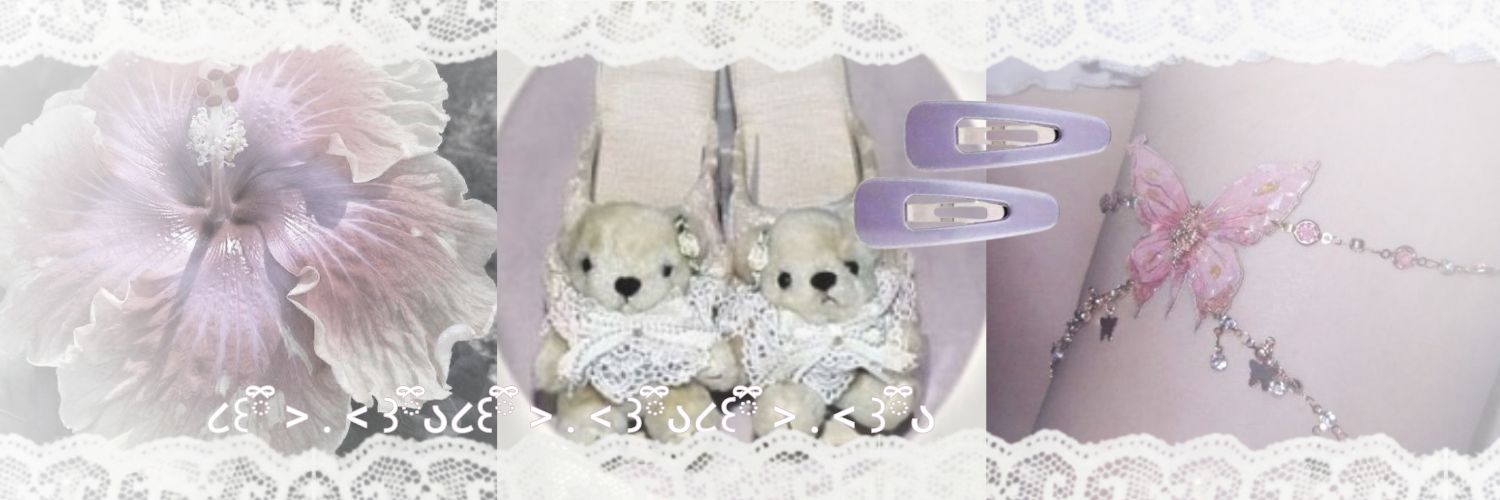 miaucitaz banner