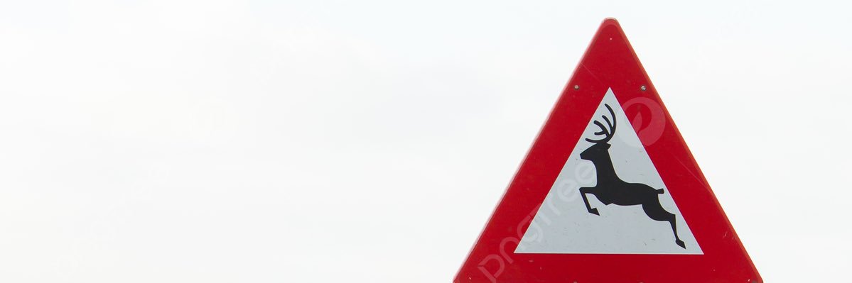 saifm1212's profile banner image