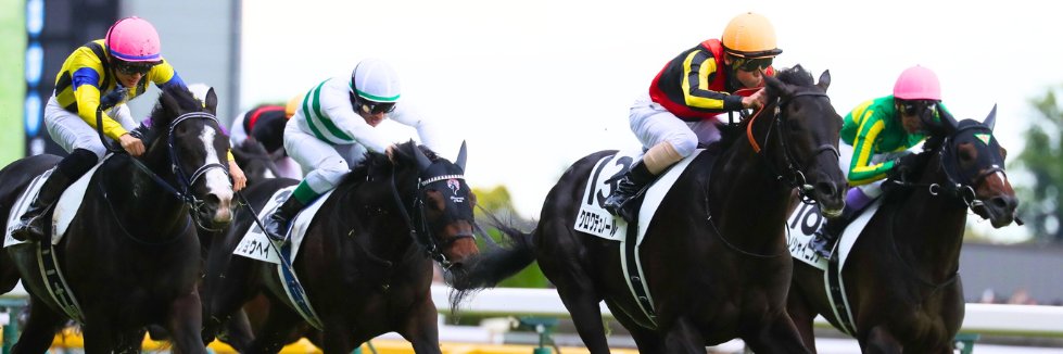 JRA-VAN公式's banner