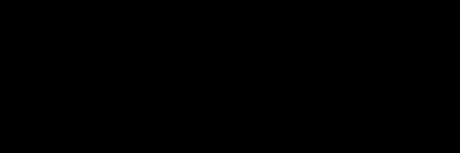 Sy banner