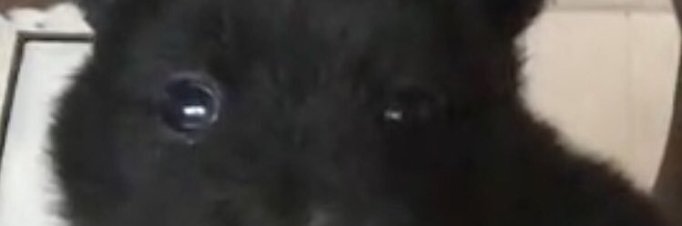 _ari_camille's profile banner image
