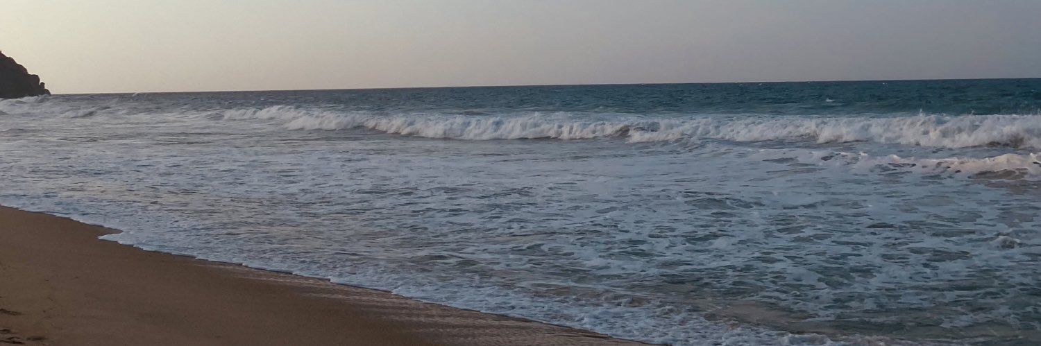 Daniale banner