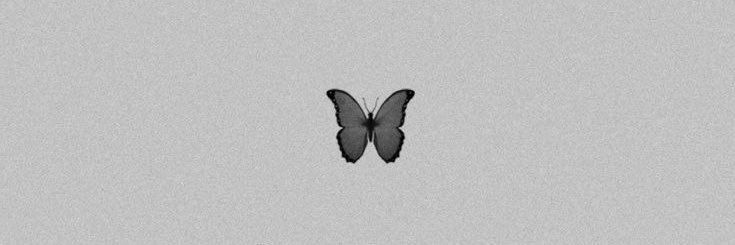 CamiOli 🦄 banner