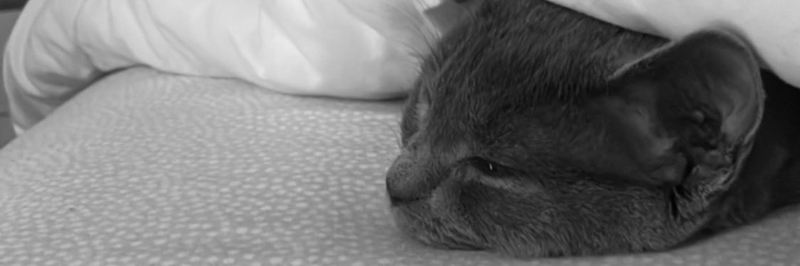 autre_10's profile banner image