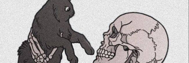 nanacatsanova's profile banner image