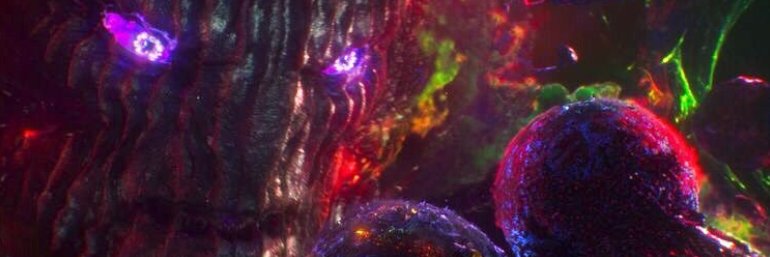 SAM banner