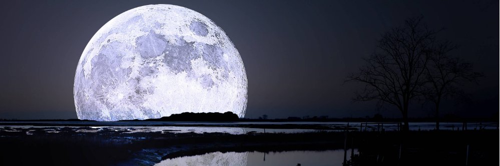 Cryptomoon banner