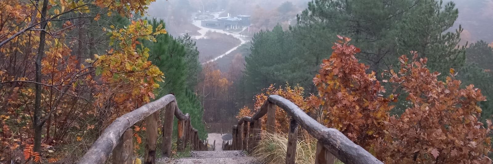 Marcel (Skip) banner