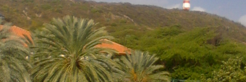 Javier E. Vilalobos V. banner