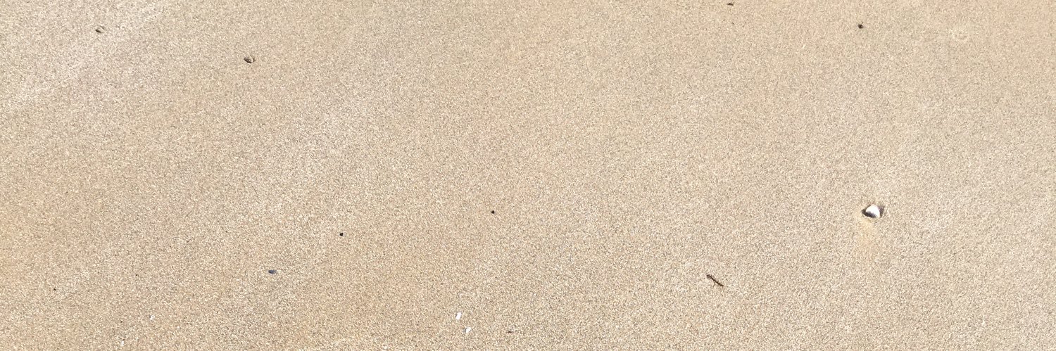 ellybellio's profile banner image