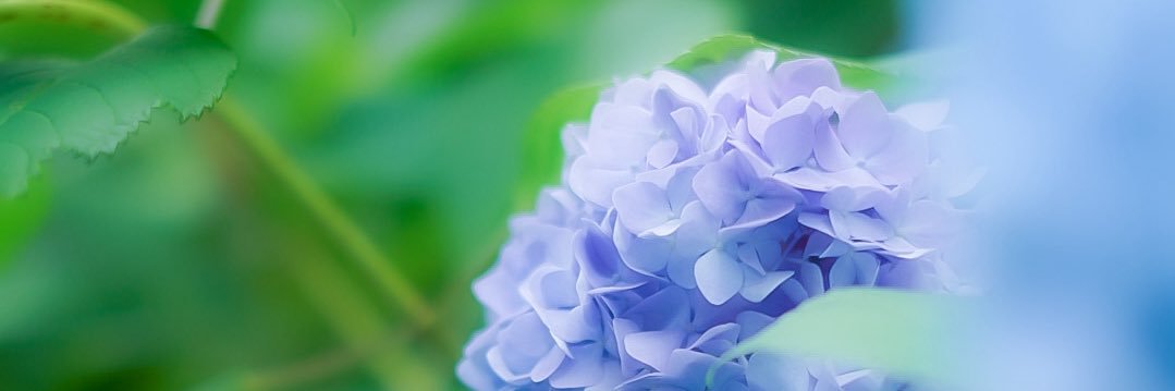 o_junjun_1011's profile banner image