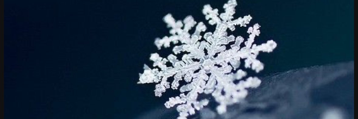 Cryptsnowy's profile banner image