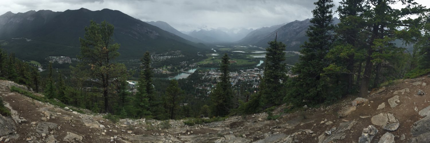 John Stevens (he/him) 🇺🇦 banner