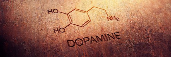 HonestJohnny Profile Banner