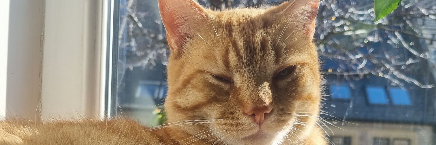 Natalie_Hird77 banner