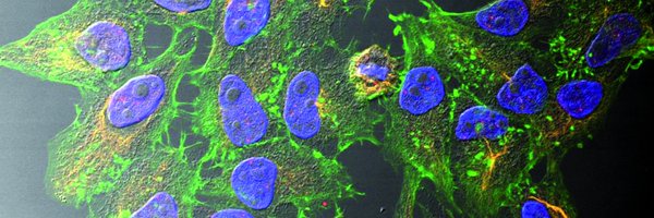 nfdi4bioimage Profile Banner