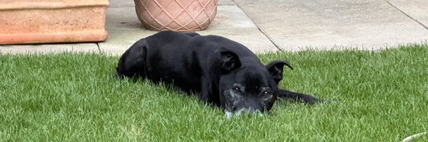 jakeyjake1734 Profile Banner